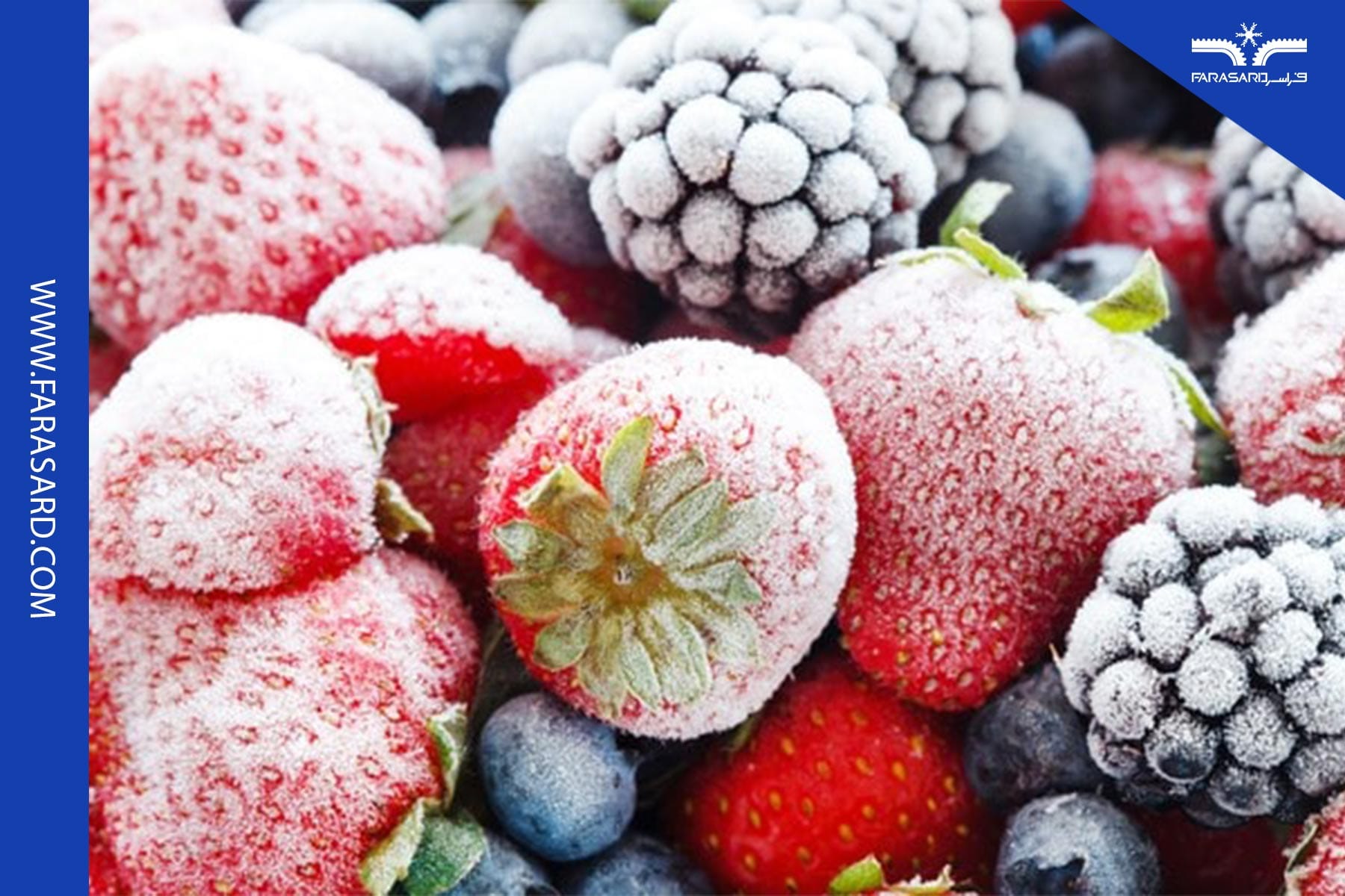 بررسی مزایا و معایب فرایند انجماد