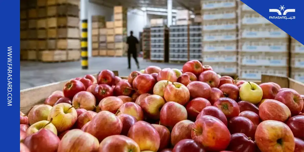 سردخانه سیب و روش نگهداری سیب در سردخانه