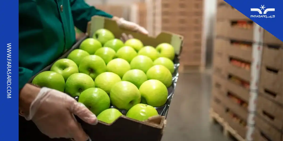 روش نگهداری سیب در سردخانه به چه صورت است؟