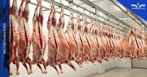 سردخانه گوشت منجمد و احداث سردخانه فرآوردهای پروتئینی