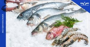 سردخانه ماهی و میگو | تولید و فروش سردخانه میگو