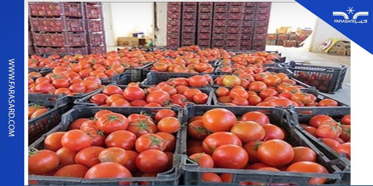 ویژگی های سردخانه گوجه فرنگی