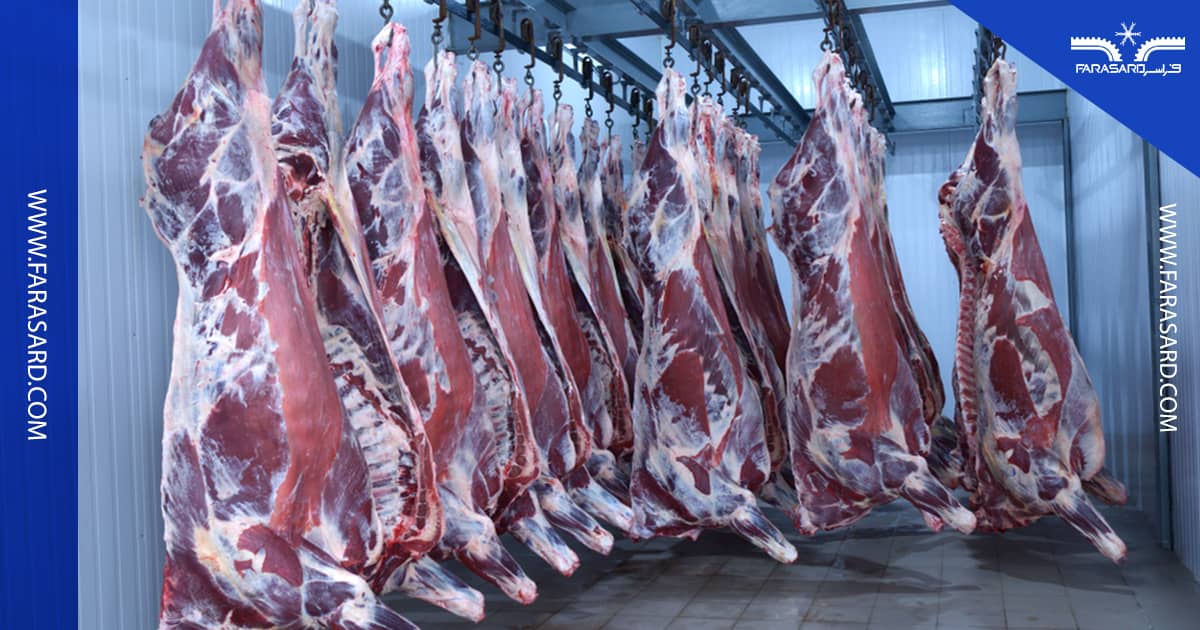 pre cooling cold storage 02 1 1 انواع سردخانه پیش سرد کن