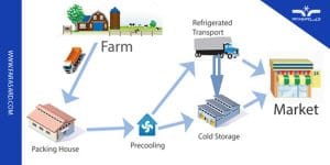 احداث سردخانه محصولات کشاورزی