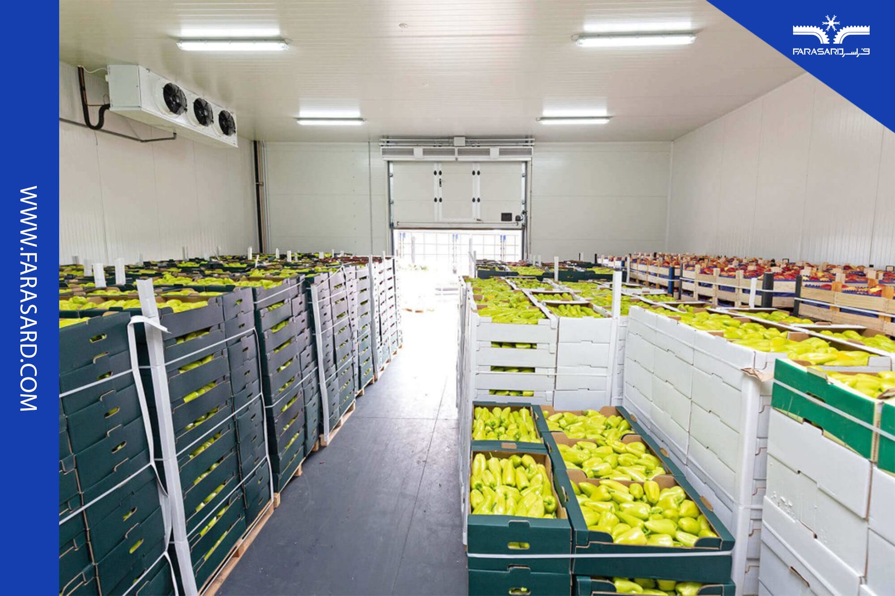 احداث سردخانه محصولات کشاورزی