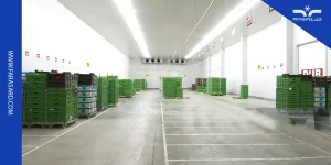 سردخانه کنترل اتمسفر چیست و کاربرد آن