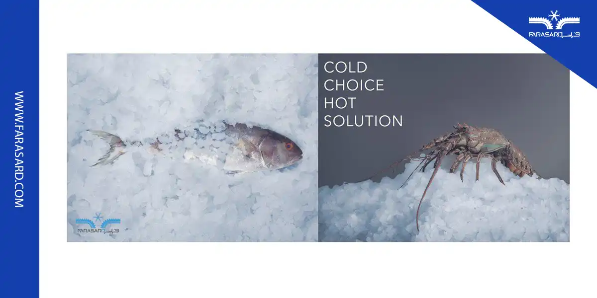 یخساز مناسب میگو و ماهی