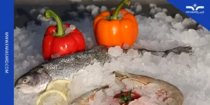 یخساز مناسب میگو و ماهی