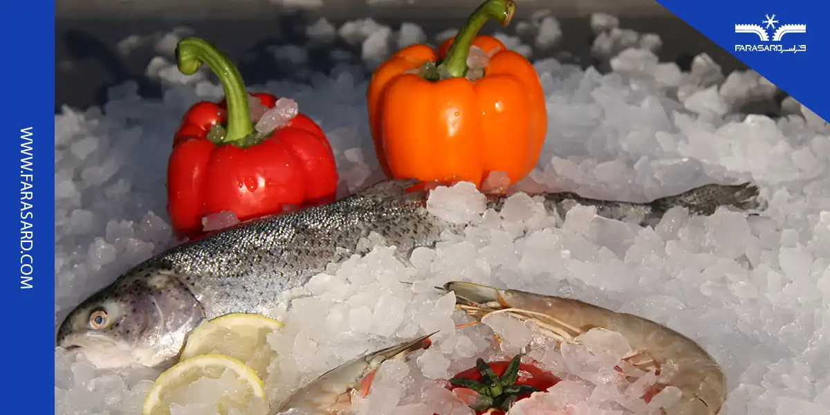 یخساز مناسب میگو و ماهی