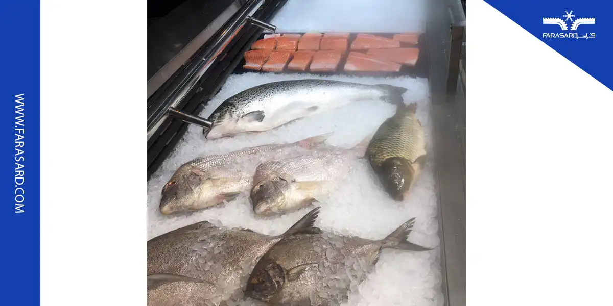 fish and shrimp ice maker 04