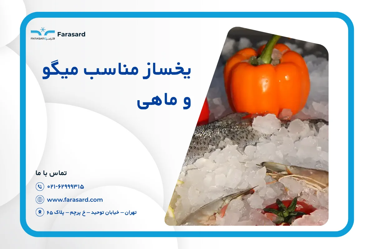 یخساز مناسب میگو و ماهی