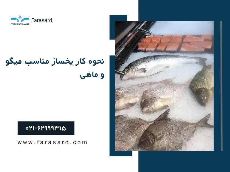 نحوه ی کار یخساز مناسب میگو و ماهی