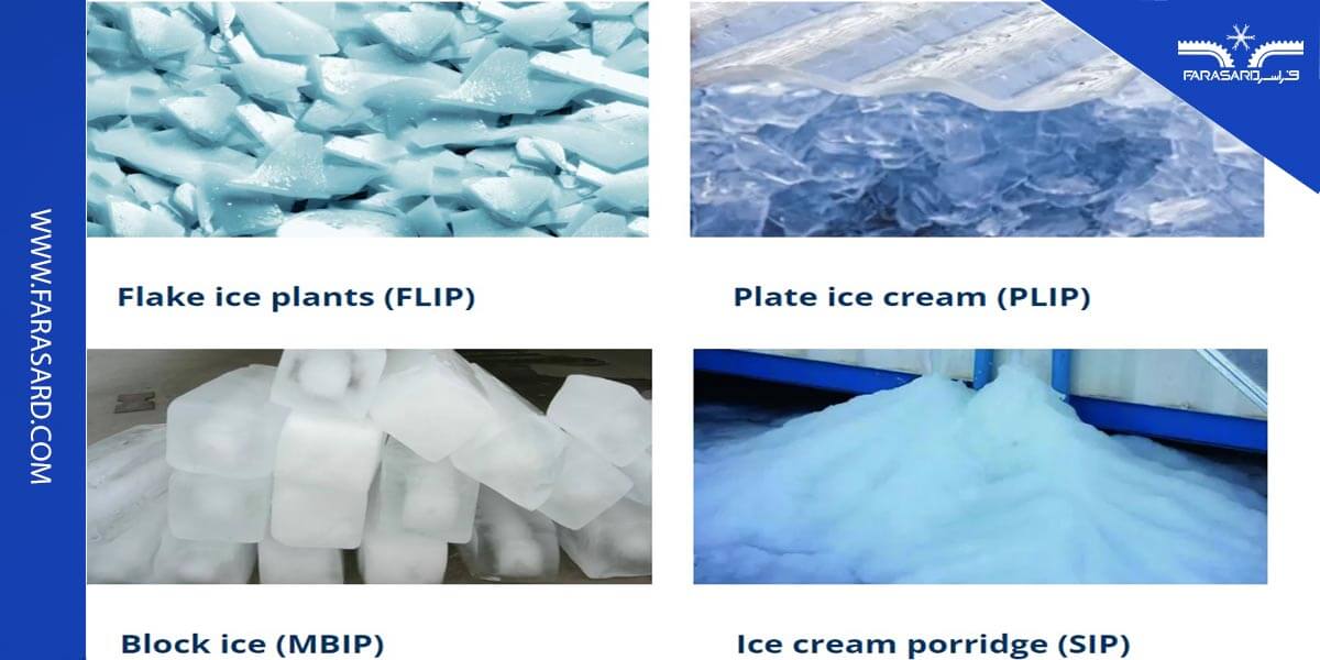 افزایش ماندگاری قارچ در سردخانه قارچ دکمه ای