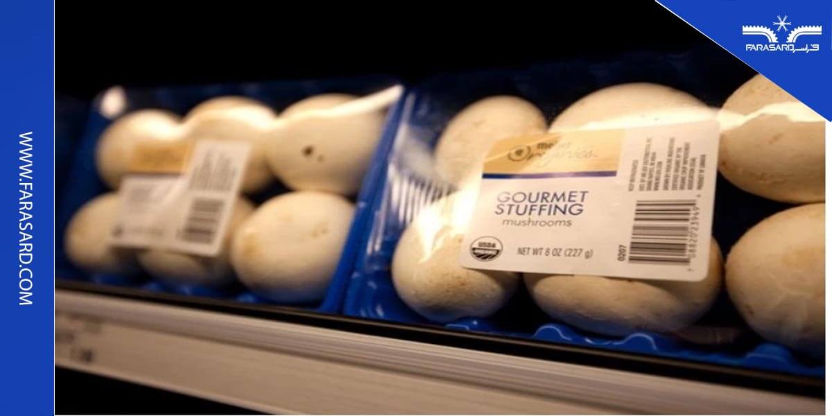 سردخانه قارچ دکمه ای