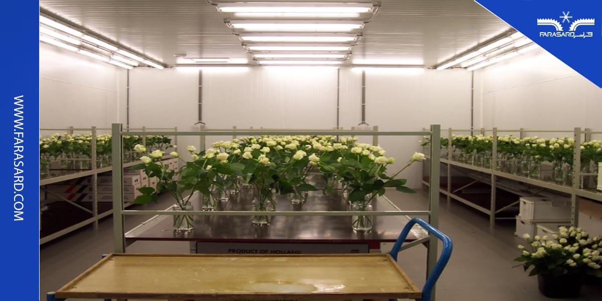 دمای سردخانه گل