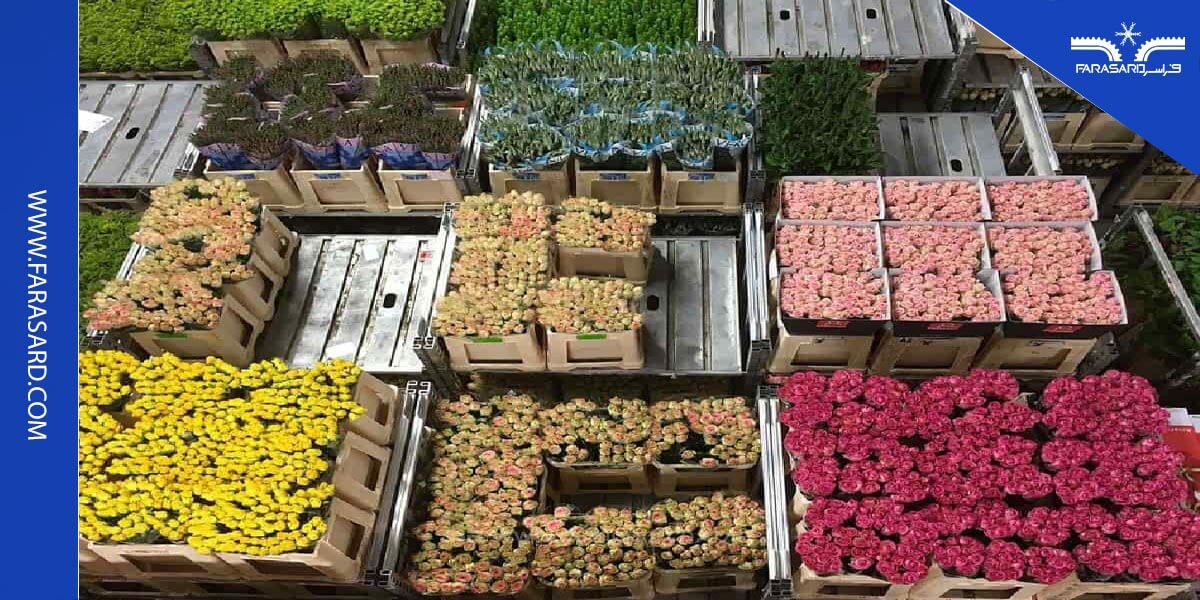 محافظت از گل های شاخه بریده