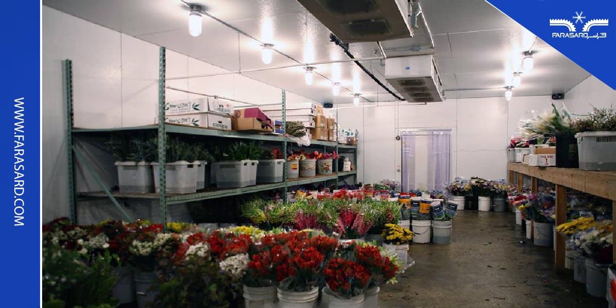 نگهداری گل های سردخانه