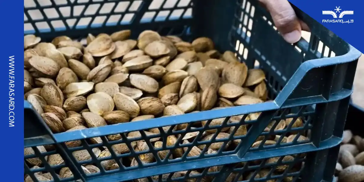 nuts and dried fruit cold storage 07 6 امکانات گرم کردن