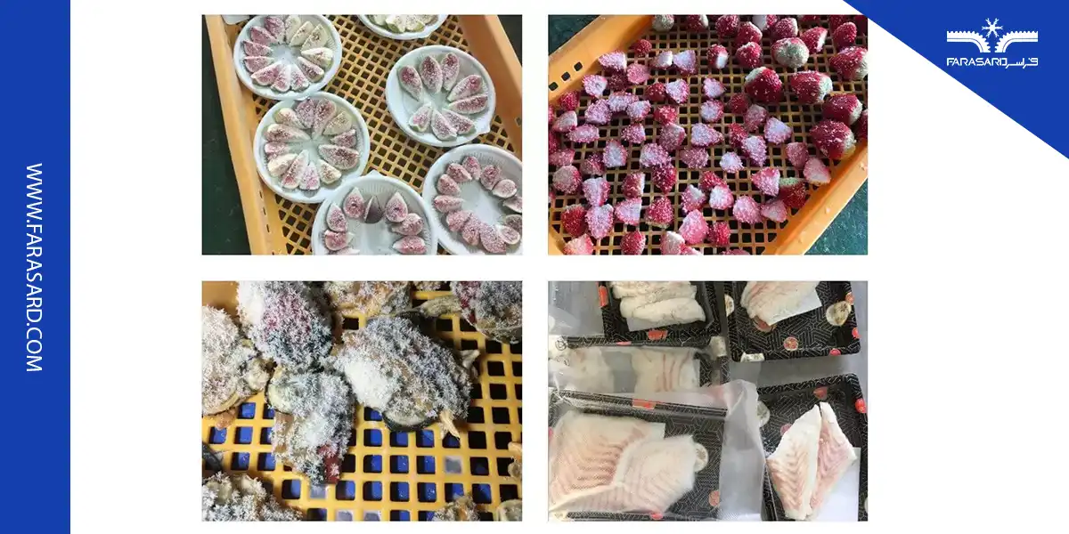 روش انجماد IQF