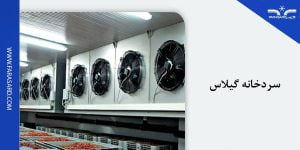 سردخانه گیلاس