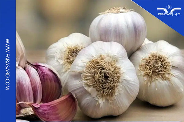 معرفی سردخانه سیر