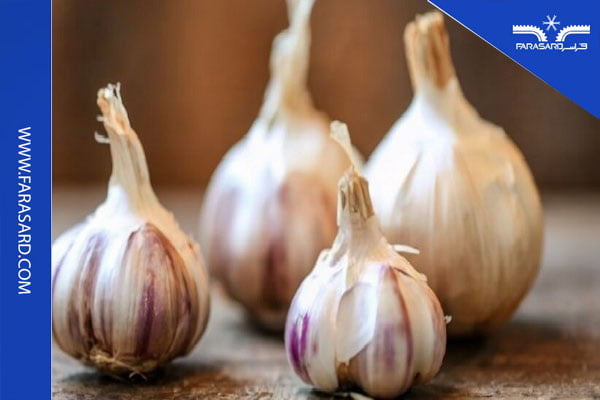 ساخت سردخانه سیر