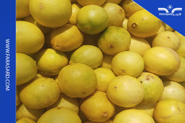 شرایط مناسب نگهداری لیمو
