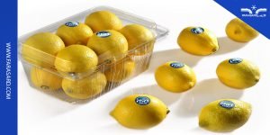 آشنایی با سردخانه لیمو