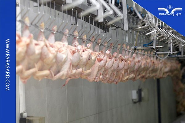 نکات سردخانه مرغ