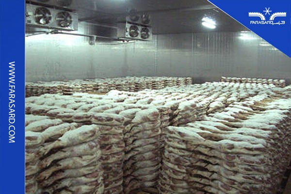 نکات سردخانه گوشت ماهی