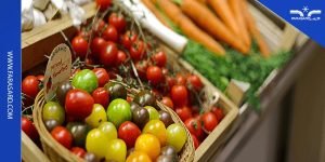 سردخانه سبزیجات