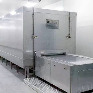 قیمت تونل انجماد IQF