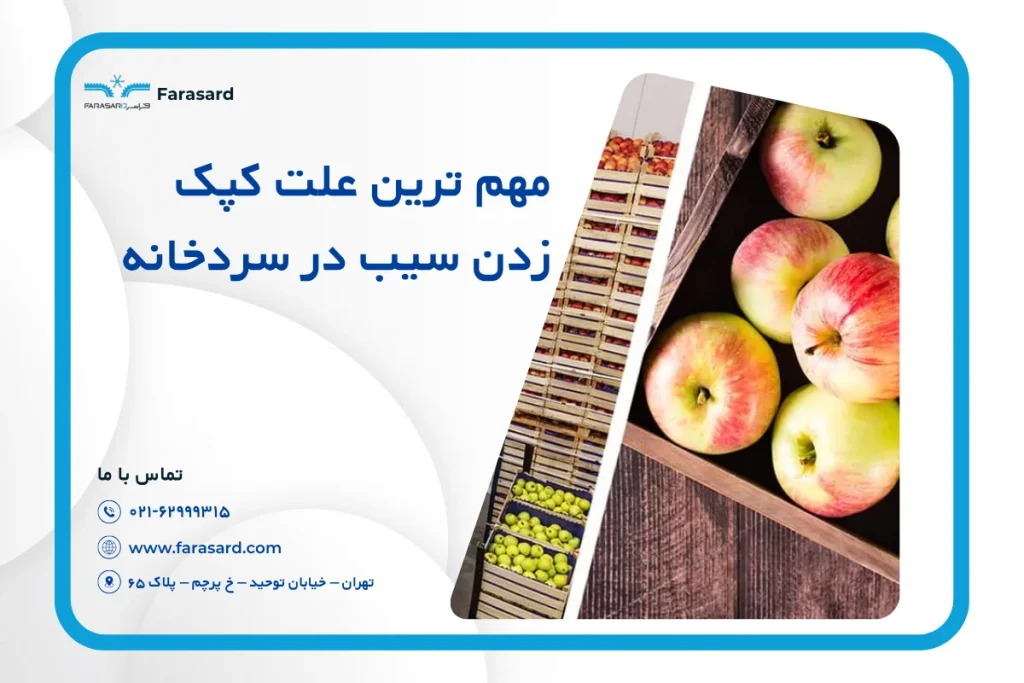 مهم ترین علت کپک زدن سیب در سردخانه