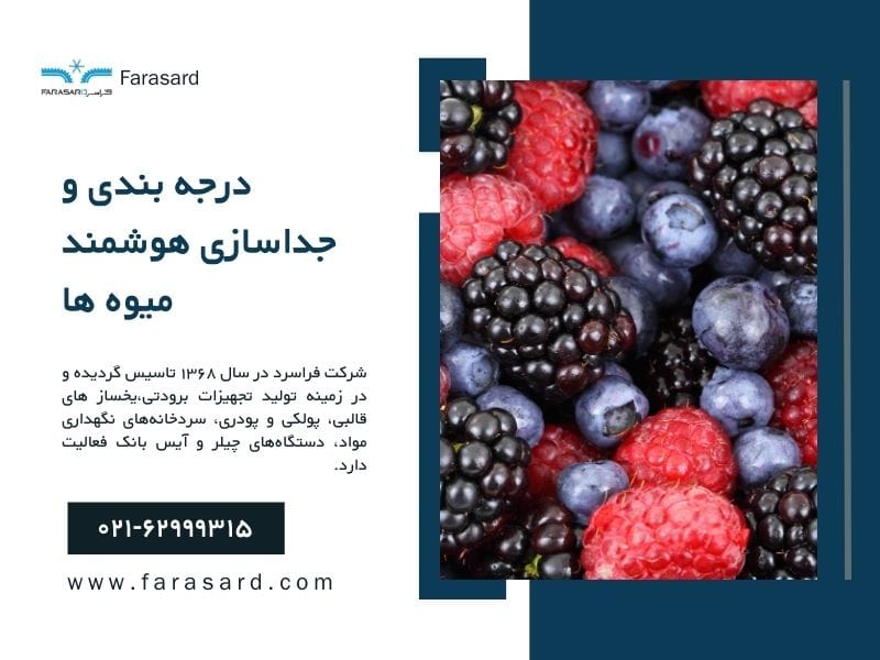 درجه بندی و جداسازی هوشمند میوه ها