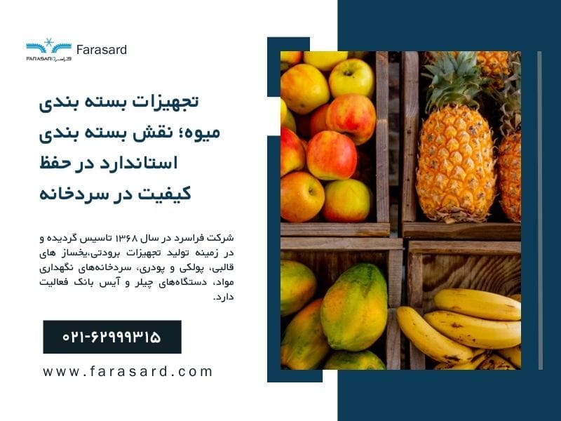 نقش بسته بندی استاندارد در حفظ کیفیت میوه در سردخانه