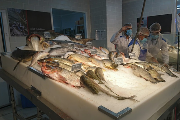 Buying fish in Ahvaz 1