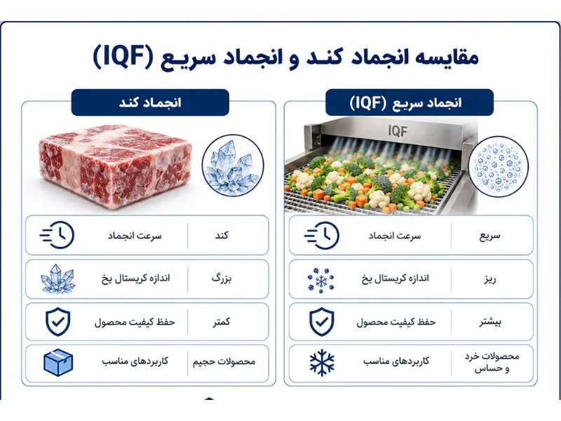 انجماد سریع و IQF  ؛ استاندارد کارخانه‌های مدرن صنایع غذایی